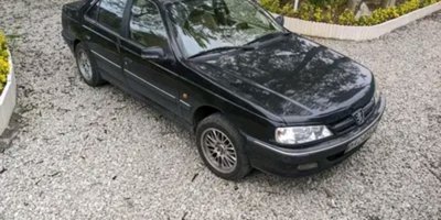 Profile/1778661392213.jpg