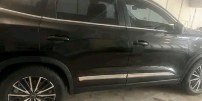 Profile/1778962837296.jpg