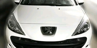 Profile/1780389859823.jpg